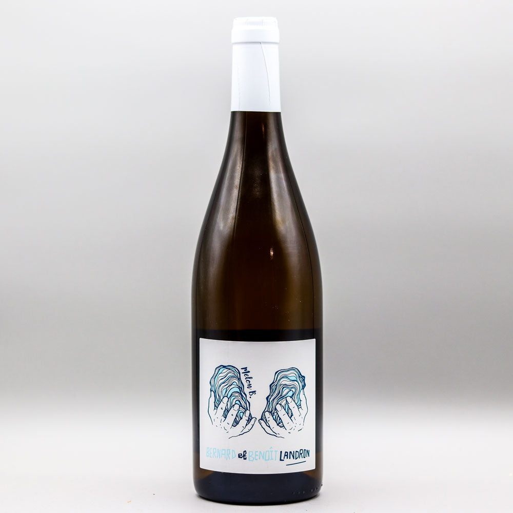 Bernard-et-Benoit-Landron.jpg?