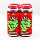 Barn Town Shane's Trail Blazer Mix Sour Ale 16 FL. OZ. 4PK Cans