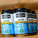 Destihl Marzen Oktoberfest 12 FL. OZ. 6PK Cans