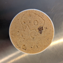 Ice Cream Girl Pumpkin Pie, Oh My 1 Pint