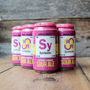 Empirical Symbiotic Raspberry lemonade Sour Ale 12 FL. OZ. 4PK Cans