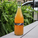 Hopewell Neon Mangosteen Pitaya Mixed-Culture Sour Ale 750ml