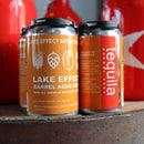 Lake Effect Tequila Barrel Aged Gose w/Lime, Salt, & Agave Syrup 12 FL. OZ. 4PK Cans