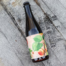 Marz Fleur d'Abricotier Berliner Weisse 500ml