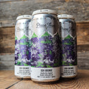 Phase Three DDH Grunge DIPA 16 FL. OZ. 4PK Cans