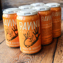 Ravinia Four Shore Belgian Style White Ale 12 FL. OZ. 6PK Cans