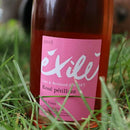 Lise & Bertrand Jousset Exile' Gamay Rosé Pétillant France 750ml
